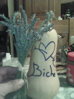 Profilo di Abderrahman